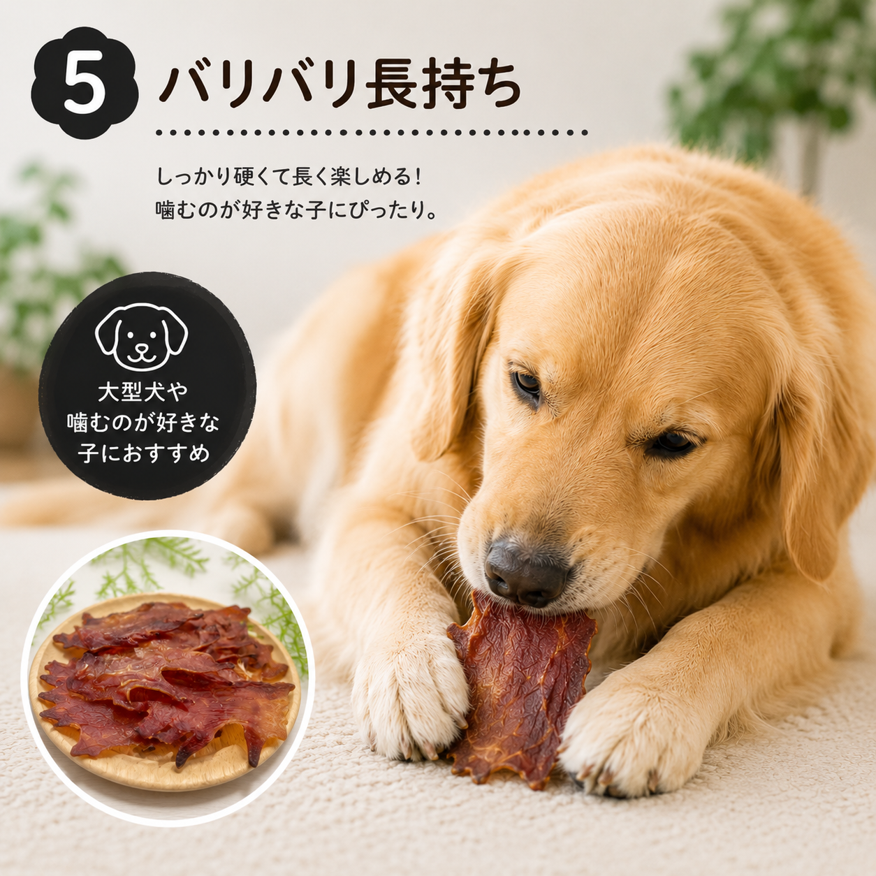 とても硬め⚫ バリバリ長持ち