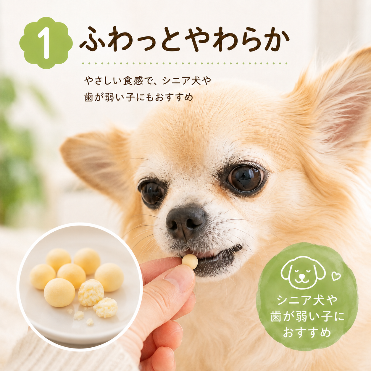 とてもやわらかめ🟢 ふわっと食べやすい