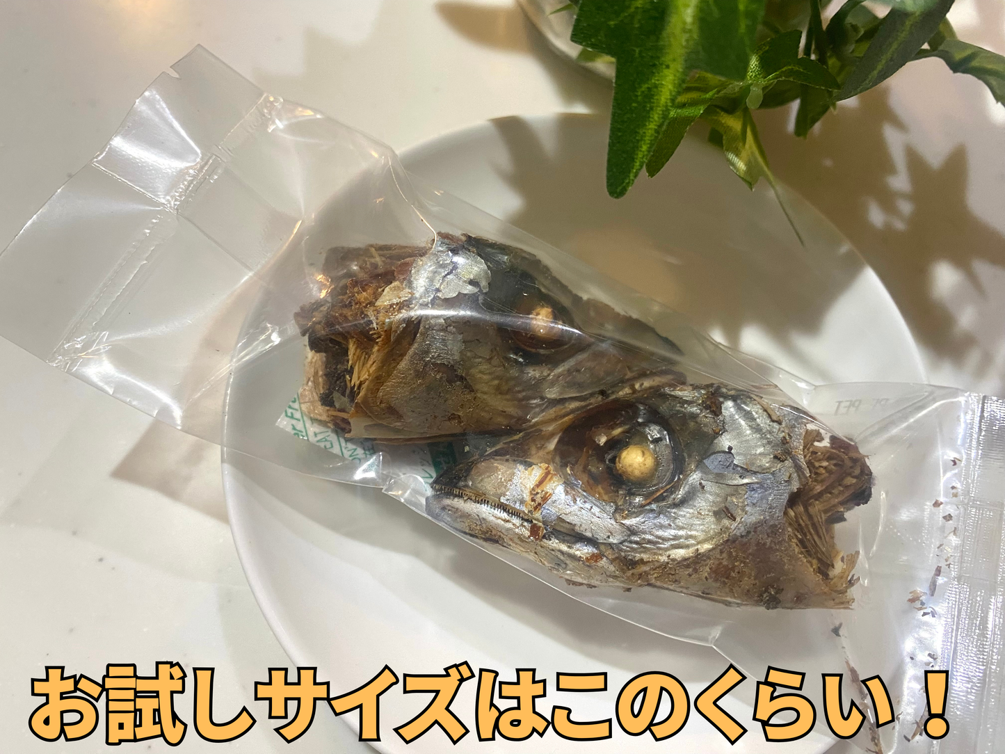 SABAZU（サバズ）鯖の頭　熊本産　香りとサクサク感にこだわりました