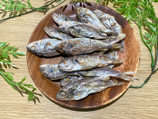 イシモチ（シログチ）煮干し【広島県産】