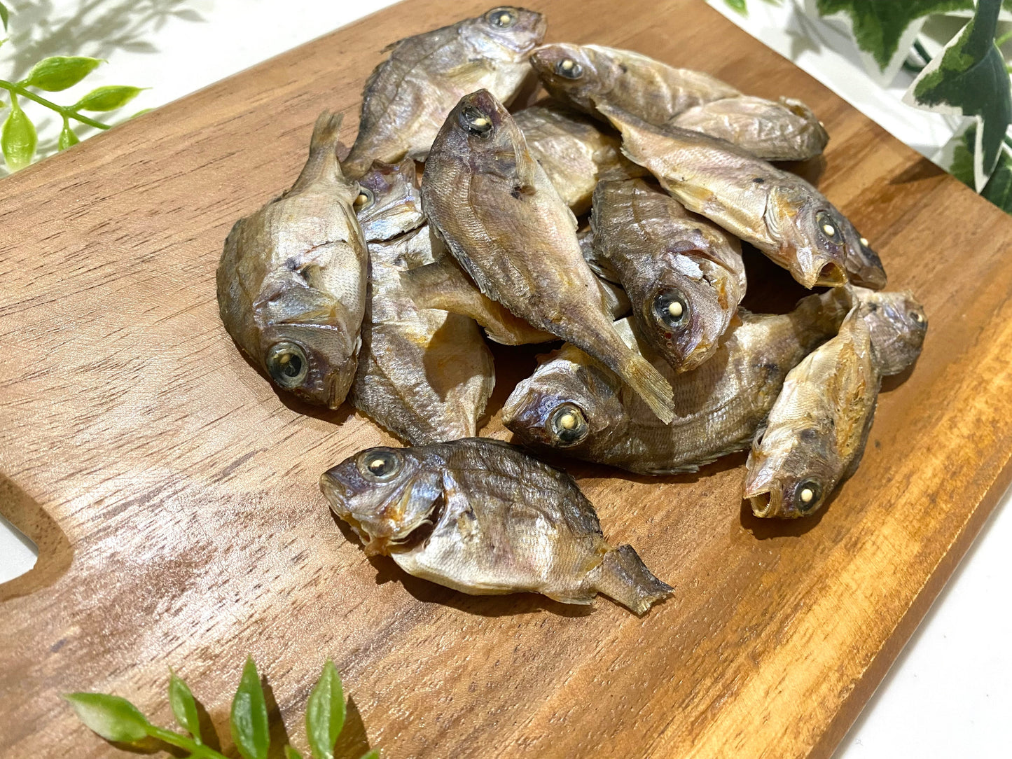 まるごと真鯛　～贅沢煮干し～　高知県産