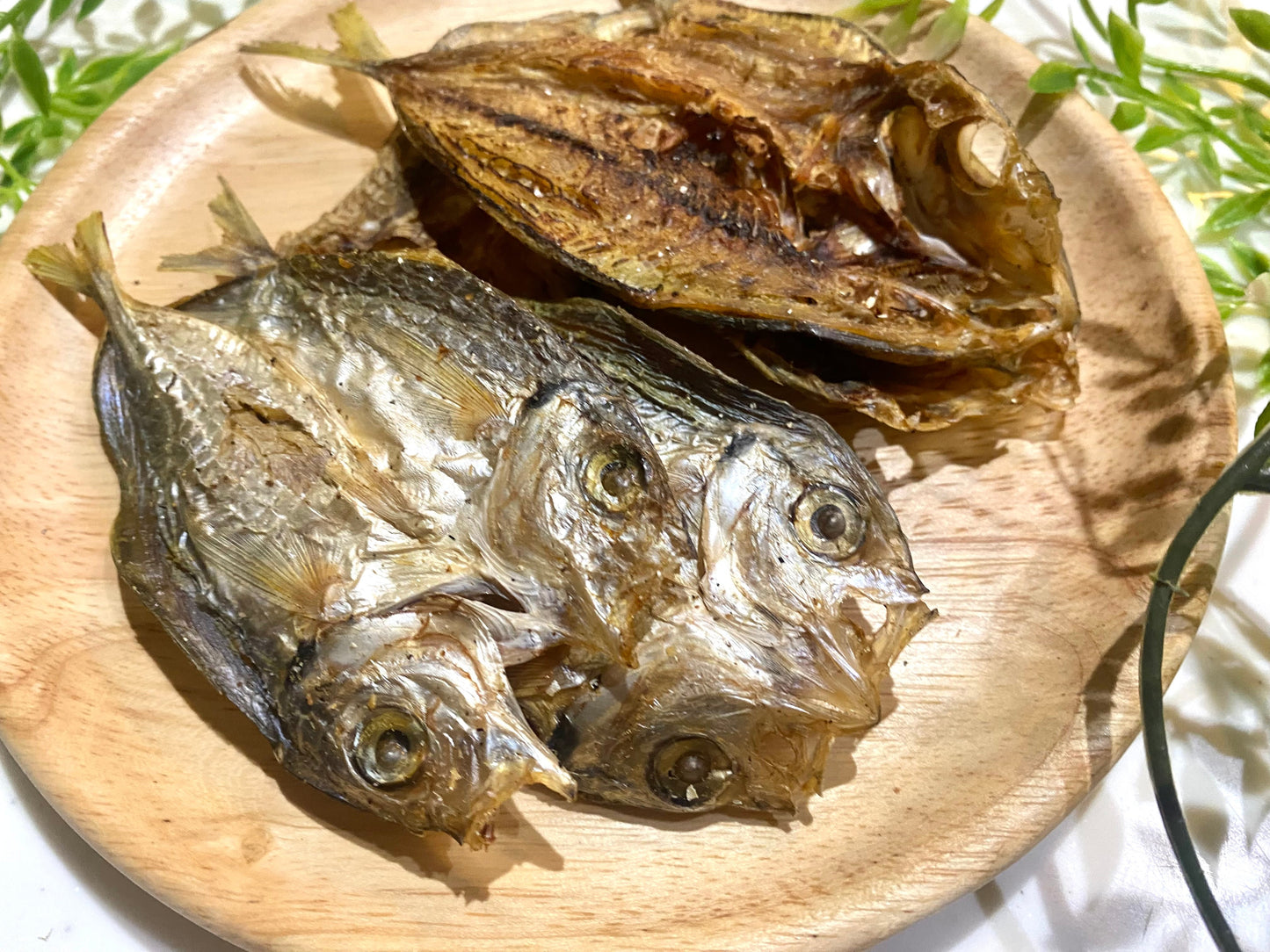 高知県産 鯵の開きジャーキー｜大根おろしに醤油かけたくなる見た目（犬専用）