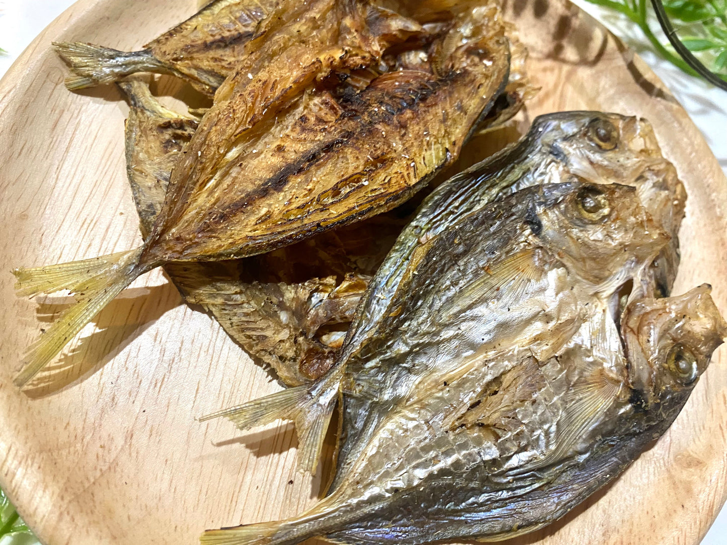 高知県産 鯵の開きジャーキー｜大根おろしに醤油かけたくなる見た目（犬専用）