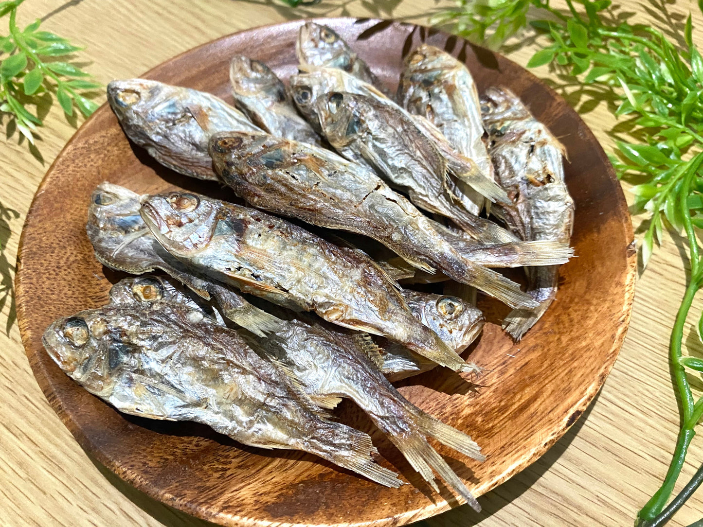 イシモチ（シログチ）煮干し【広島県産】